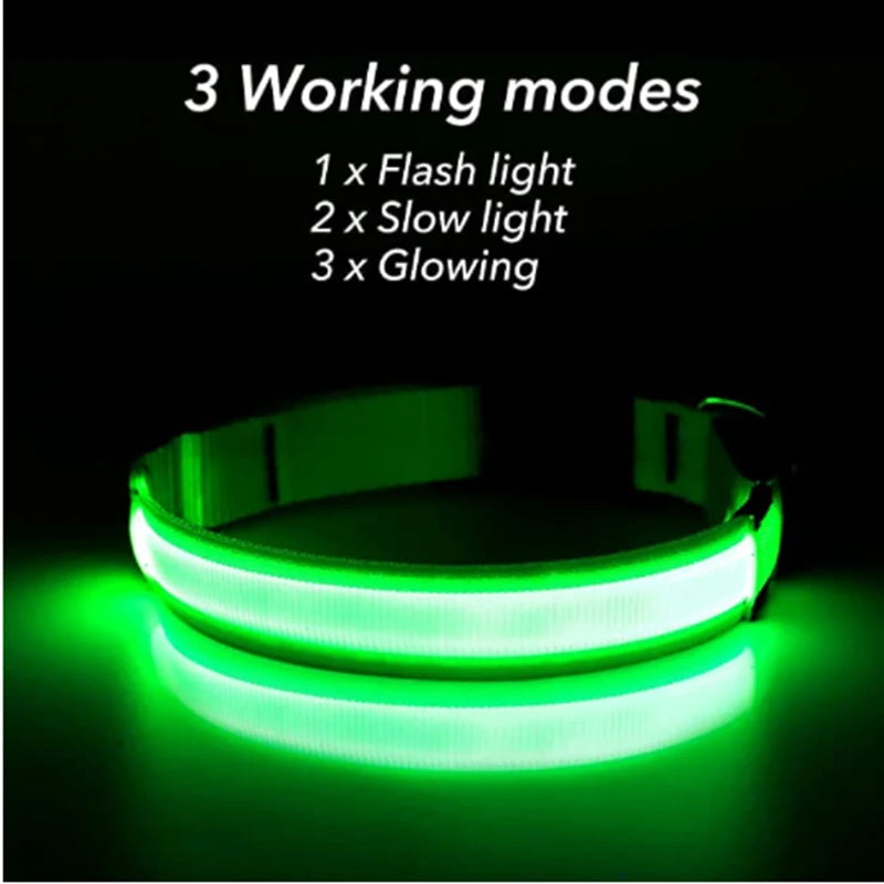 Collier lumineux Rechargeable USB pour chien, réglable, Led, brille, pour grands et petits chiens, chat, veilleuse, sécurité des animaux de compagnie