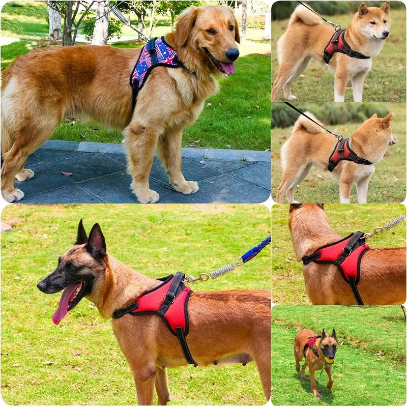 SFP Ribless Dog Leash, NISSAN Harness, Outdoor Walking Strap, Small, Medium, Large Dog